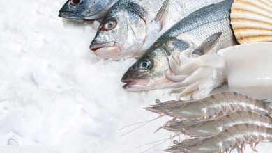 راه اندازی استخر پرورش ماهی در کانادا